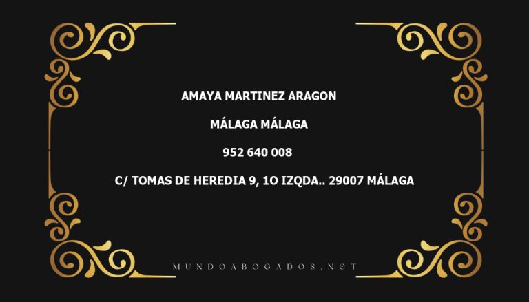 abogado Amaya Martinez Aragon en la localidad de Málaga