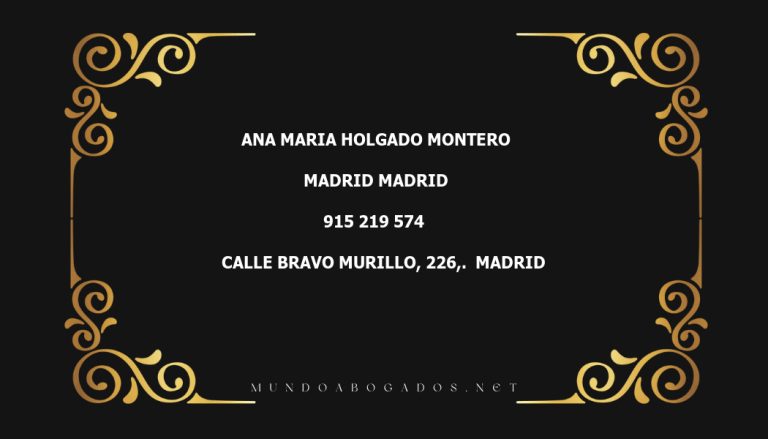 abogado Ana Maria Holgado Montero en la localidad de Madrid