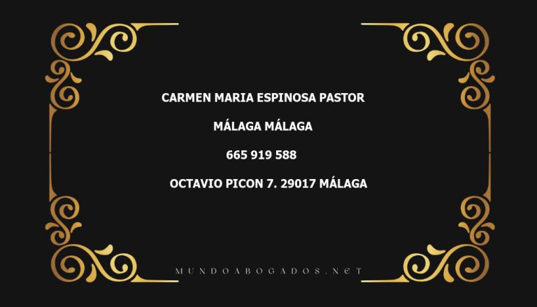 abogado Carmen Maria Espinosa Pastor en la localidad de Málaga