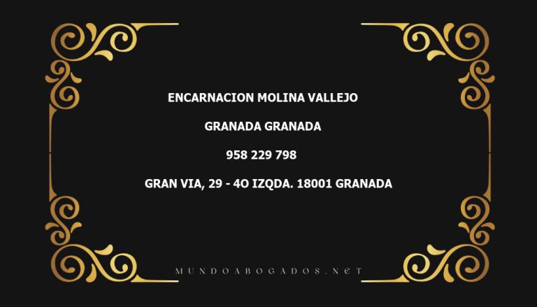 abogado Encarnacion Molina Vallejo en la localidad de Granada