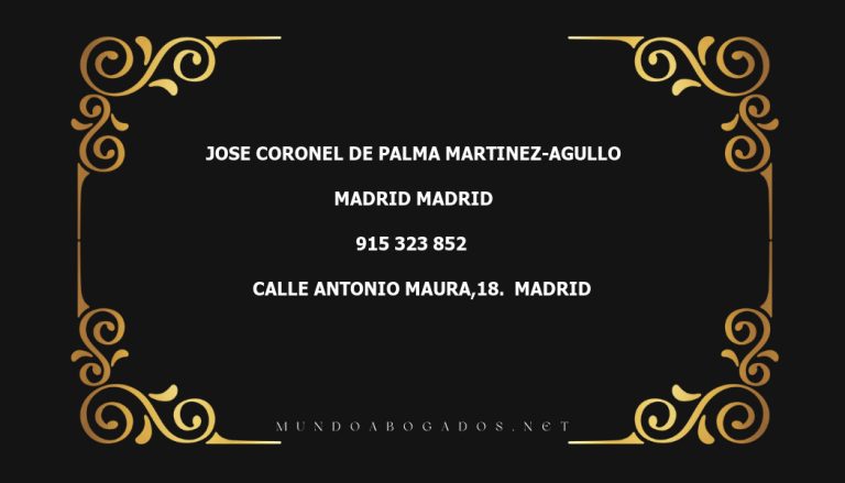 abogado Jose Coronel De Palma Martinez-Agullo en la localidad de Madrid