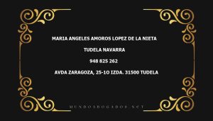 abogado Maria Angeles Amoros Lopez De La Nieta en la localidad de Tudela