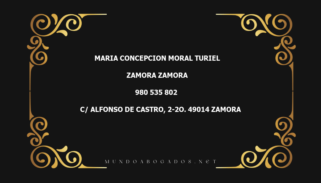 abogado Maria Concepcion Moral Turiel en la localidad de Zamora