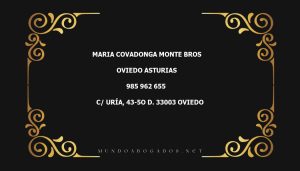 abogado Maria Covadonga Monte Bros en la localidad de Oviedo