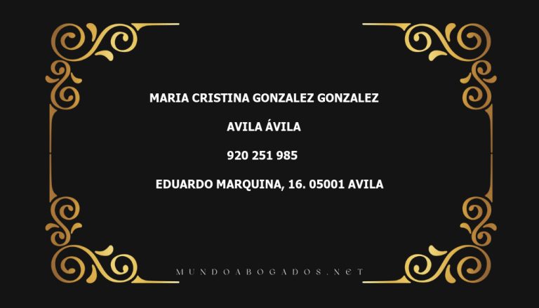 abogado Maria Cristina Gonzalez Gonzalez en la localidad de Avila