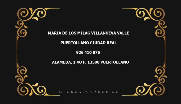 abogado Maria De Los Milag Villanueva Valle en la localidad de Puertollano