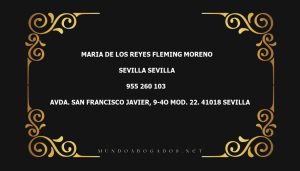 abogado Maria De Los Reyes Fleming Moreno en la localidad de Sevilla