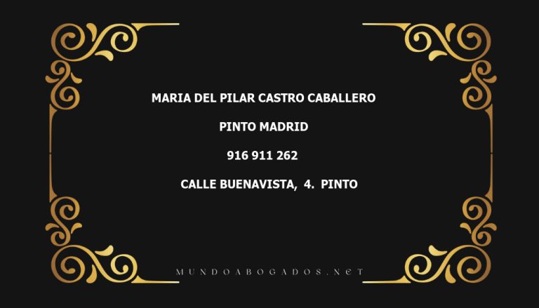 abogado Maria Del Pilar Castro Caballero en la localidad de Pinto