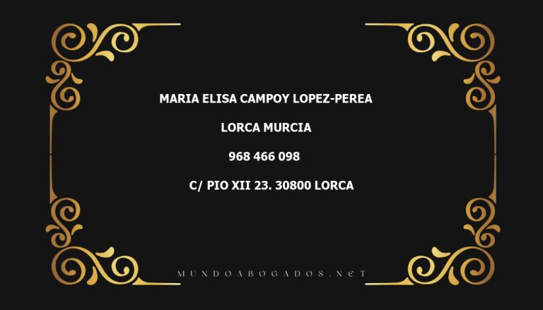 abogado Maria Elisa Campoy Lopez-Perea en la localidad de Lorca