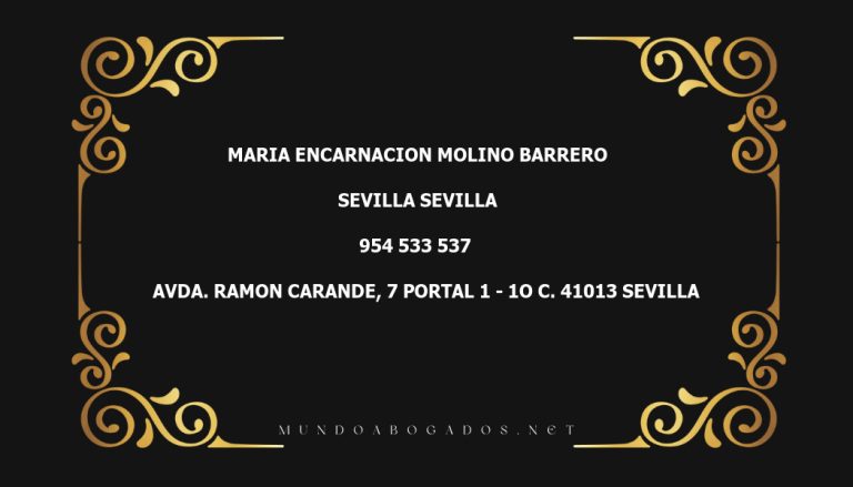 abogado Maria Encarnacion Molino Barrero en la localidad de Sevilla