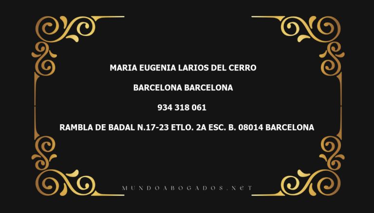 abogado Maria Eugenia Larios Del Cerro en la localidad de Barcelona