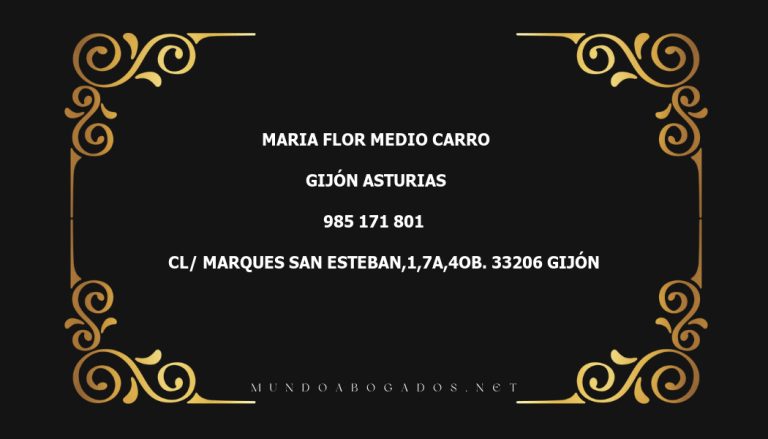 abogado Maria Flor Medio Carro en la localidad de Gijón