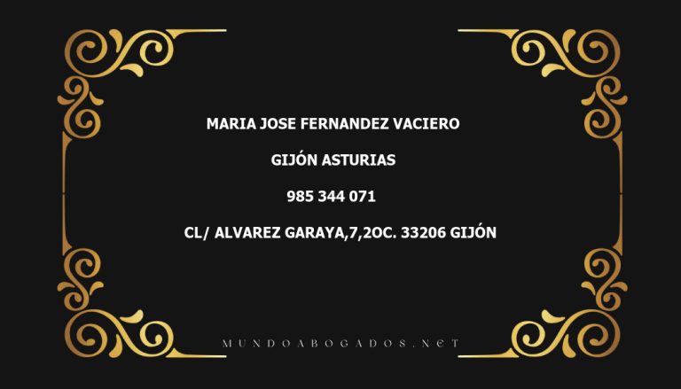 abogado Maria Jose Fernandez Vaciero en la localidad de Gijón