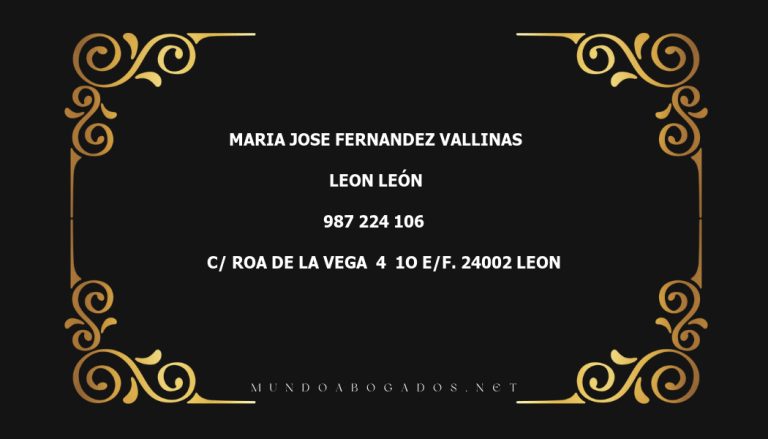 abogado Maria Jose Fernandez Vallinas en la localidad de Leon