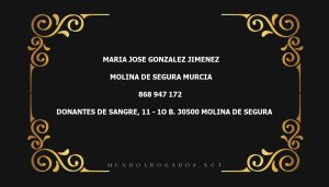 abogado Maria Jose Gonzalez Jimenez en la localidad de Molina de Segura