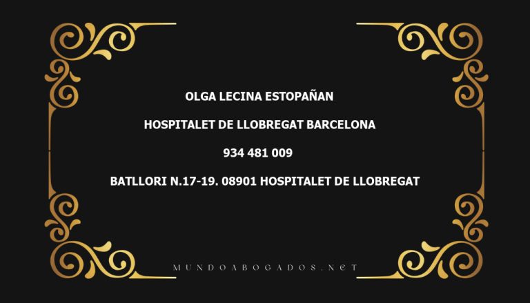 abogado Olga Lecina Estopañan en la localidad de Hospitalet de Llobregat