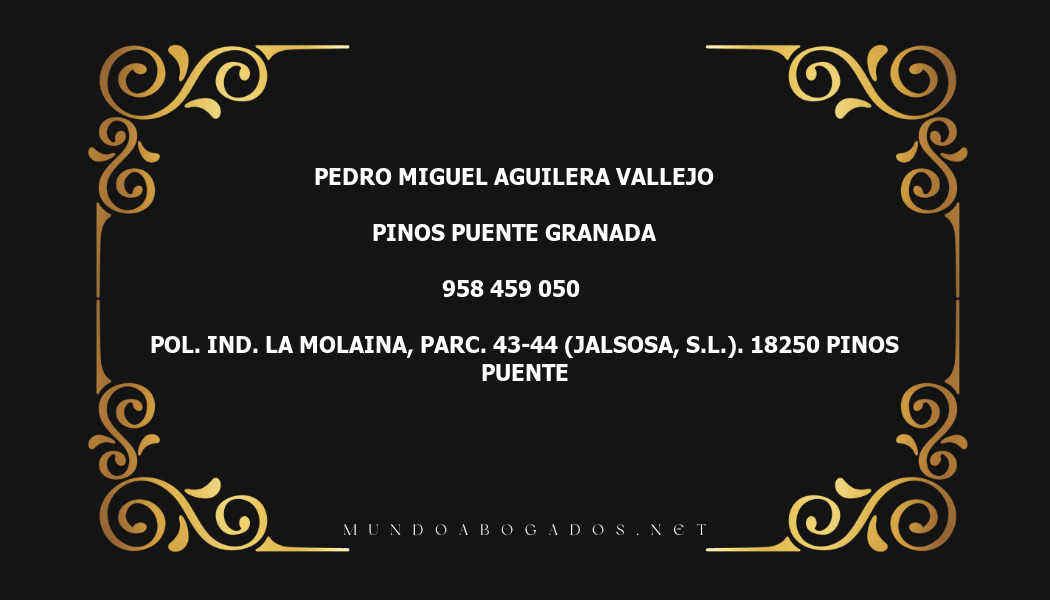 abogado Pedro Miguel Aguilera Vallejo en la localidad de Pinos Puente