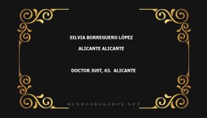 abogado Silvia Borreguero López en la localidad de Alicante