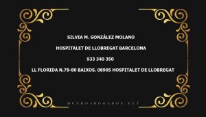 abogado Silvia M. González Molano en la localidad de Hospitalet de Llobregat