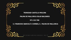 abogado Trinidad Castillo Molina en la localidad de Palma de Mallorca