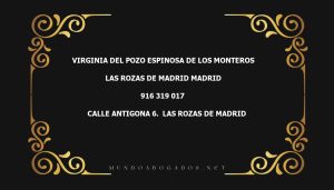 abogado Virginia Del Pozo Espinosa De Los Monteros en la localidad de Las Rozas de Madrid