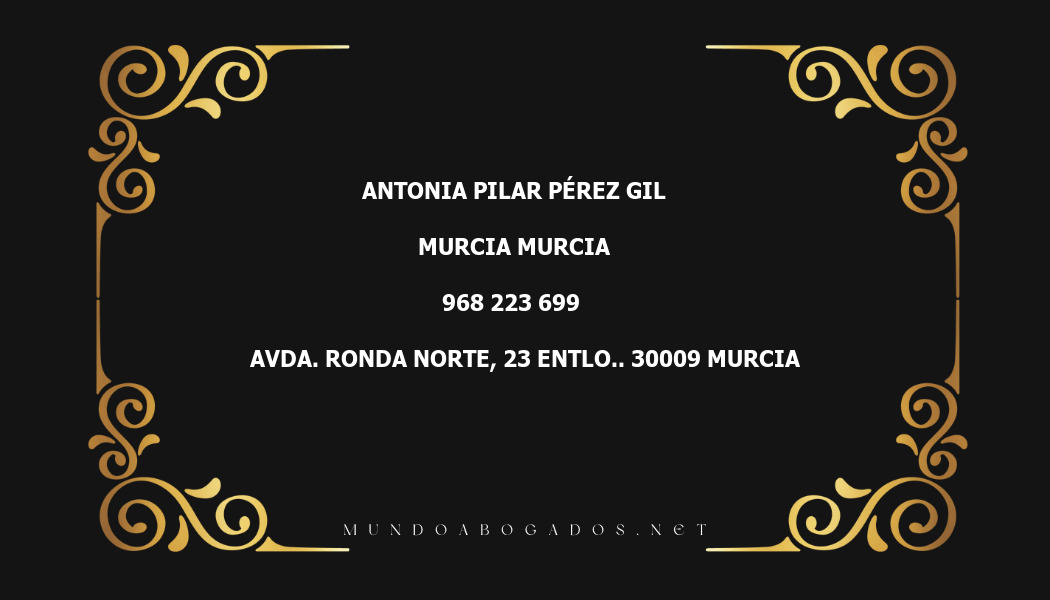 abogado Antonia Pilar Pérez Gil en la localidad de Murcia