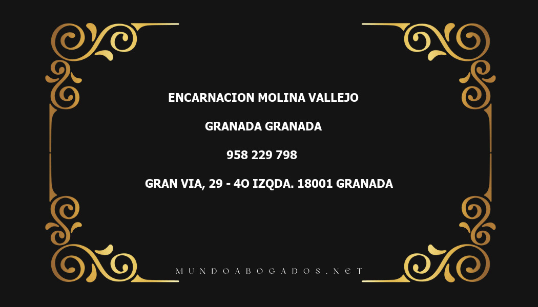 abogado Encarnacion Molina Vallejo en la localidad de Granada