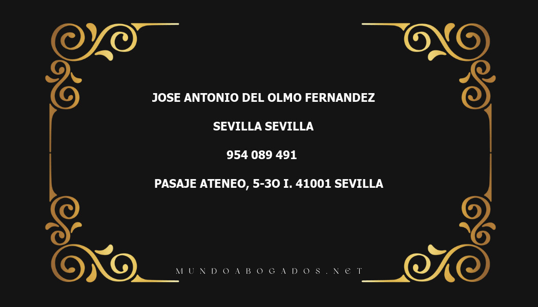 abogado Jose Antonio Del Olmo Fernandez en la localidad de Sevilla