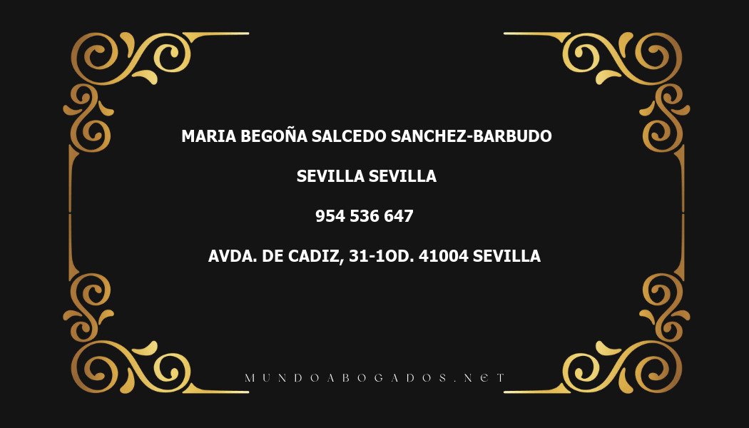 abogado Maria Begoña Salcedo Sanchez-Barbudo en la localidad de Sevilla