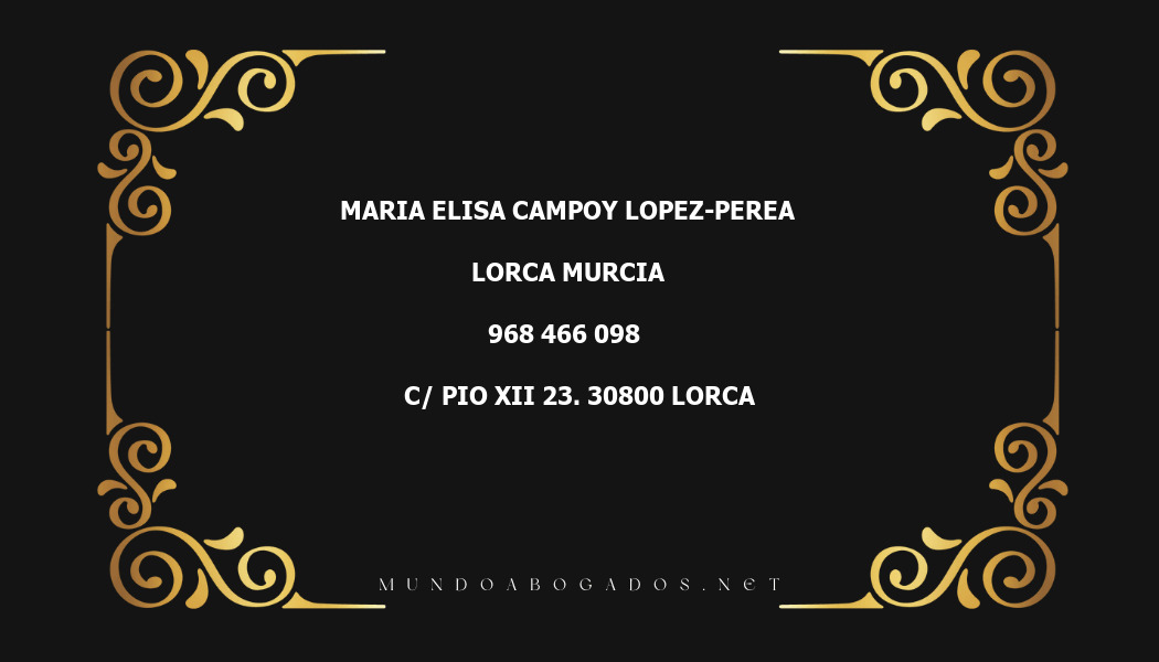 abogado Maria Elisa Campoy Lopez-Perea en la localidad de Lorca