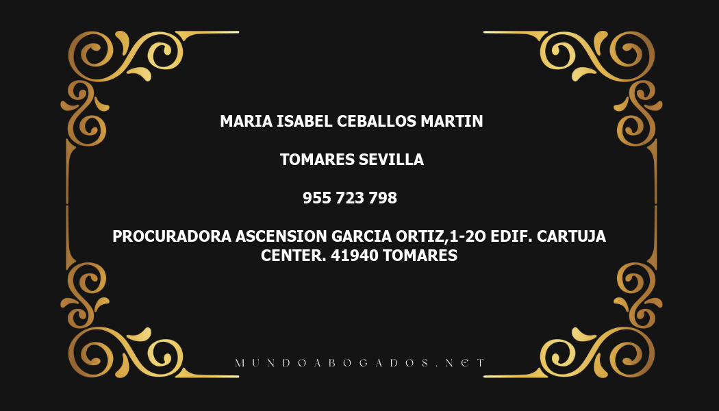 abogado Maria Isabel Ceballos Martin en la localidad de Tomares