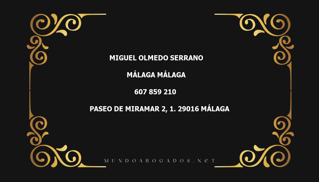 abogado Miguel Olmedo Serrano en la localidad de Málaga