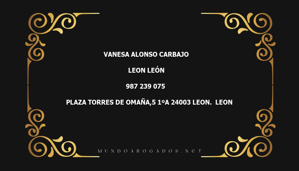 abogado Vanesa Alonso Carbajo en la localidad de Leon